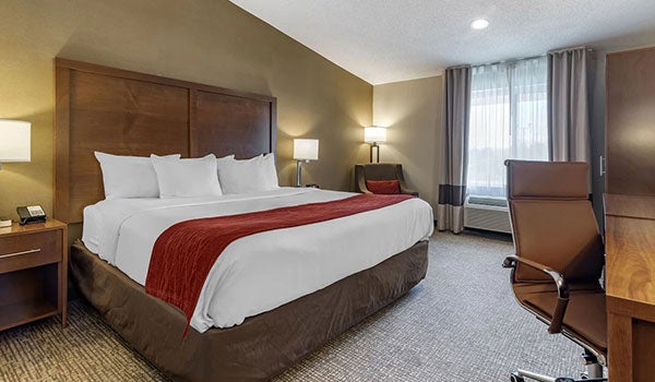 Comfort Inn Albany/Glenmont